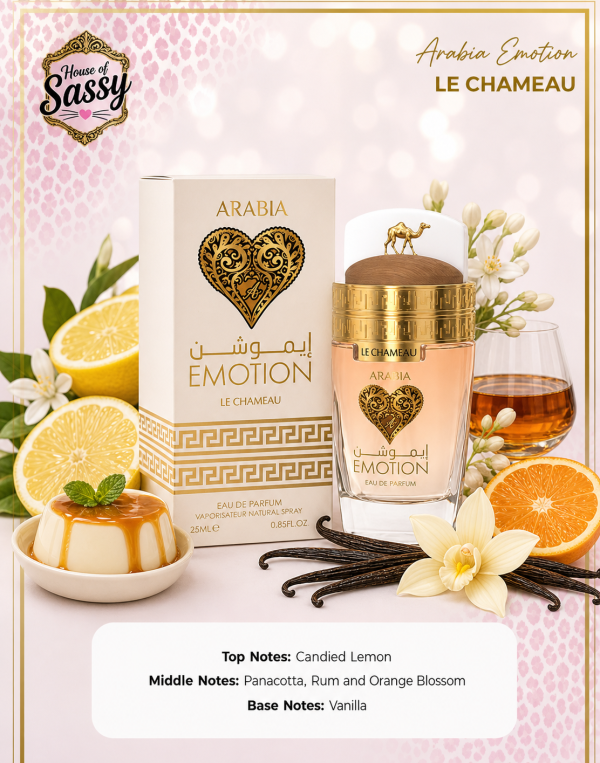 Arabia Emotion Le Chameau