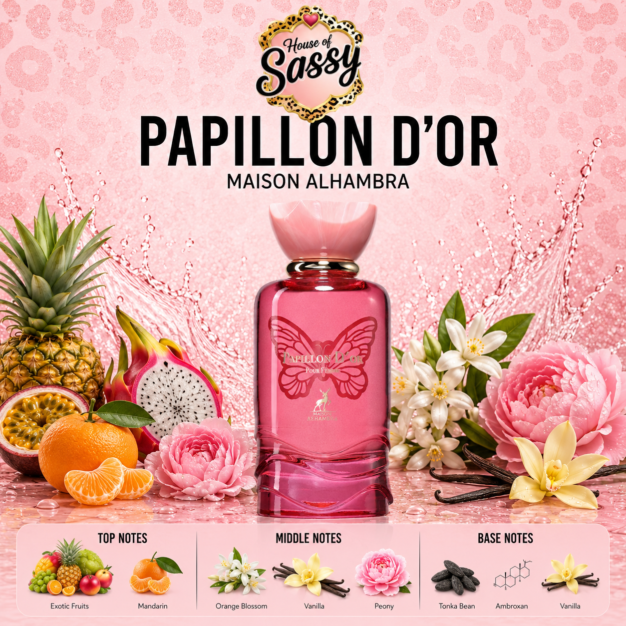 Papillon D’Or